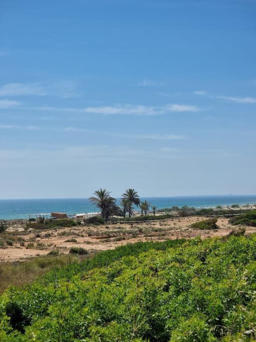 Marbella Sea View Apartament Arenales del Sol Bagian luar foto